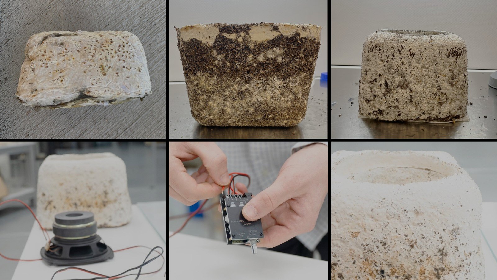 Six photographs documenting growth, demoulding and electronics assembly