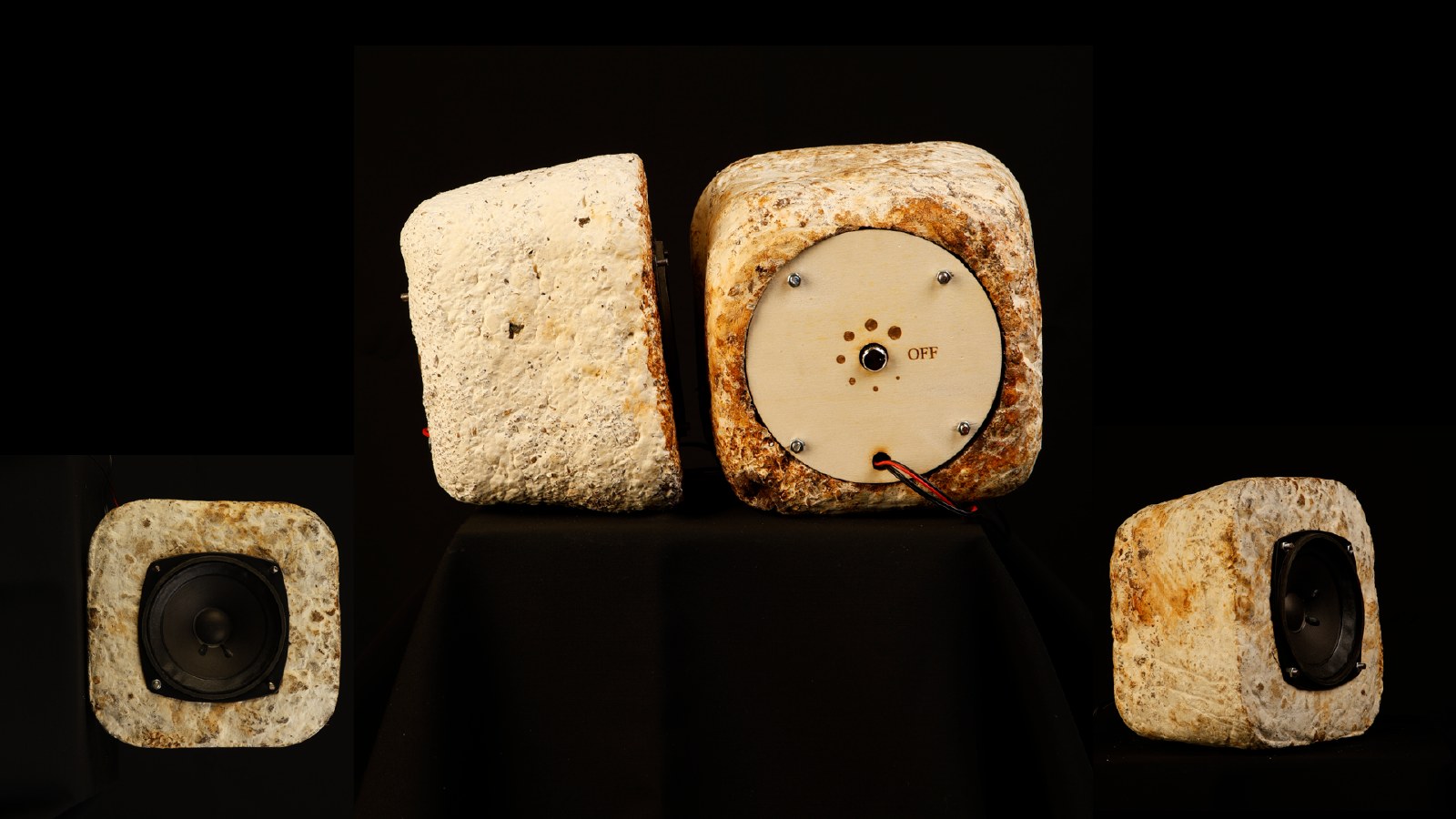 Two mycelium composite speaker units on a black background